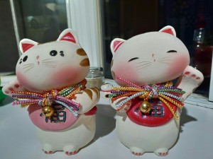 P_20180709_220646-3024x2268